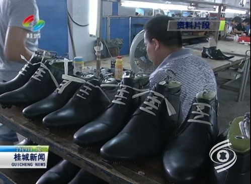 南海鞋業年產值超百億 2017南海鞋協做了這些大事