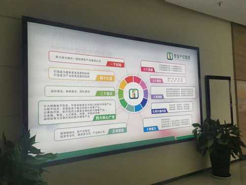 貴安產(chǎn)控集團(tuán)以“五零”服務(wù)打造金牌營商環(huán)境，證照代辦服務(wù)跑出加速度